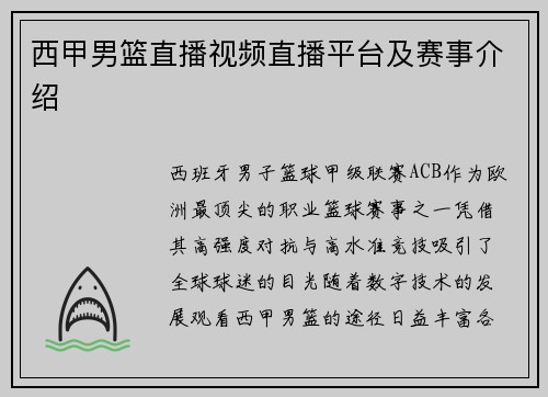 西甲男篮直播视频直播平台及赛事介绍